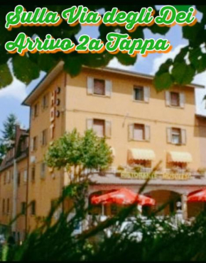 Отель Hotel Musolesi  Сан-Бенедетто-Валь-Ди-Самбро